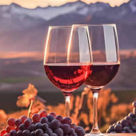 Mendoza: tierra del buen vino